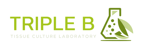 Triple B Lab